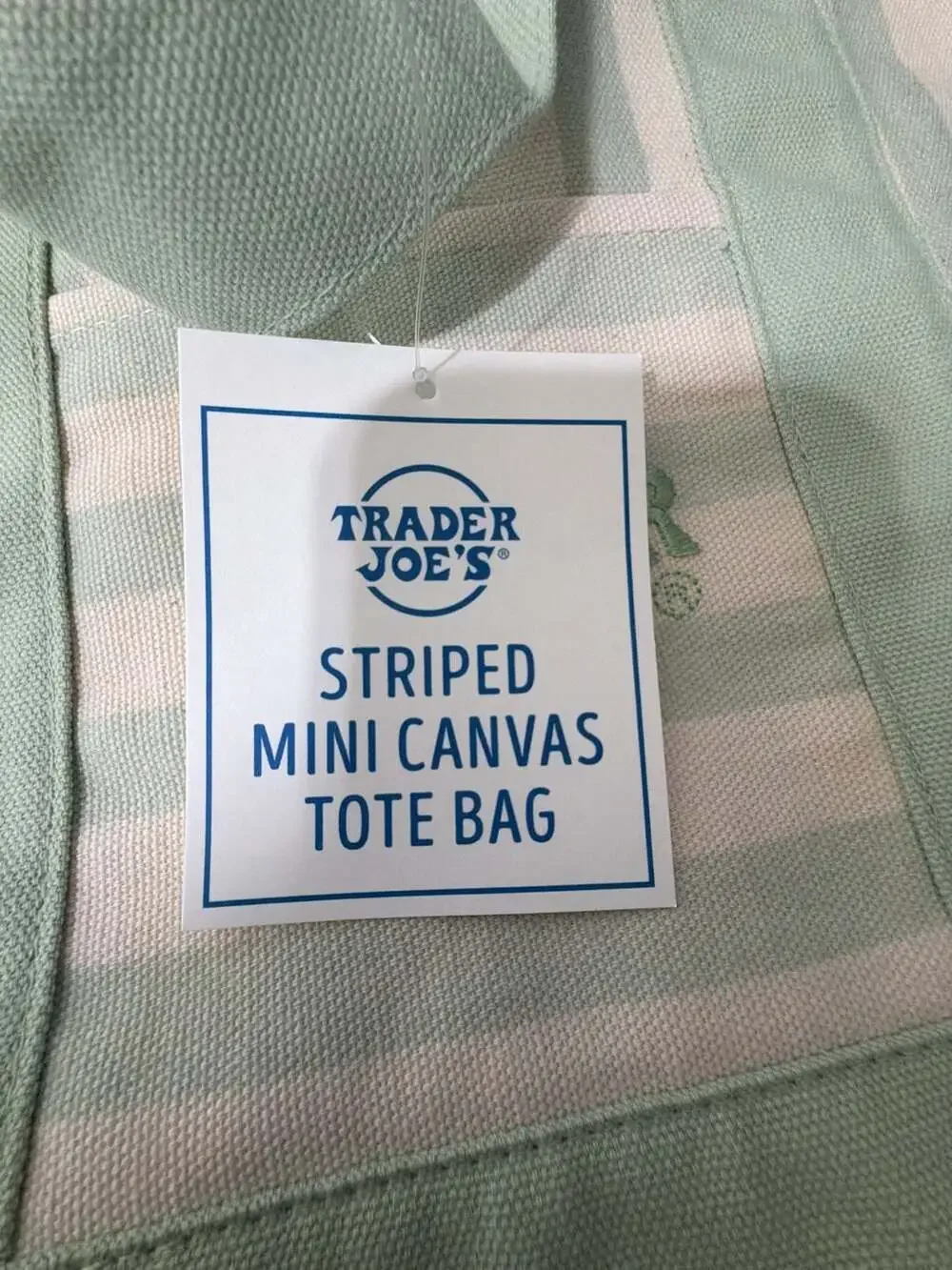 Trader Joe's Striped Mini Canvas Tote Bag in Pastel Green